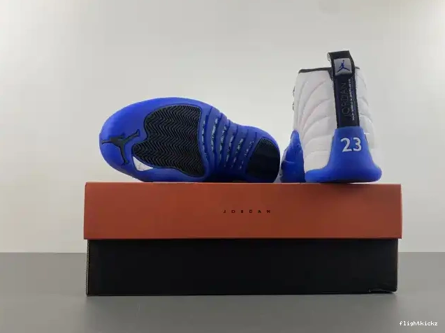 Blueberry 12 Jordan Air CT8013-140 0507